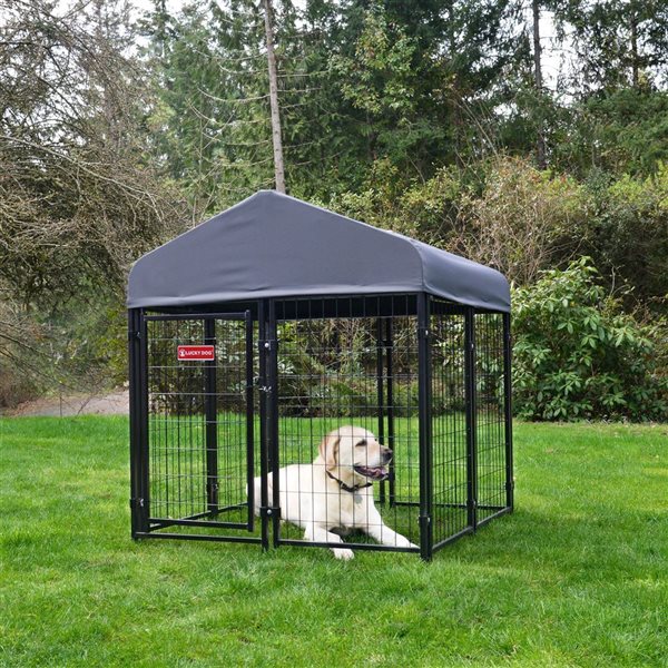 Lucky Dog Stay Series 4.3 H x 4 W x 4-ft D Grey Steel Outdoor Studio Jr. Dog Kennel with Polyester Canopy