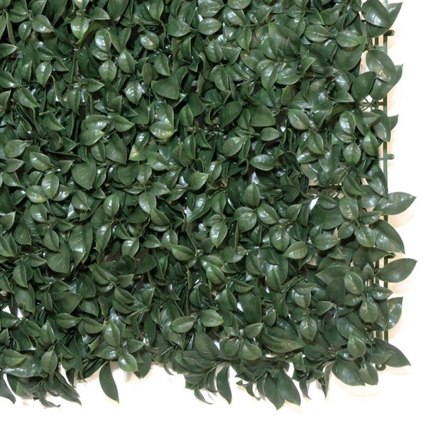 everhome Ficus Artificial Hedge Wall Panel - 3.28 x 3.28-ft - 1/Pack