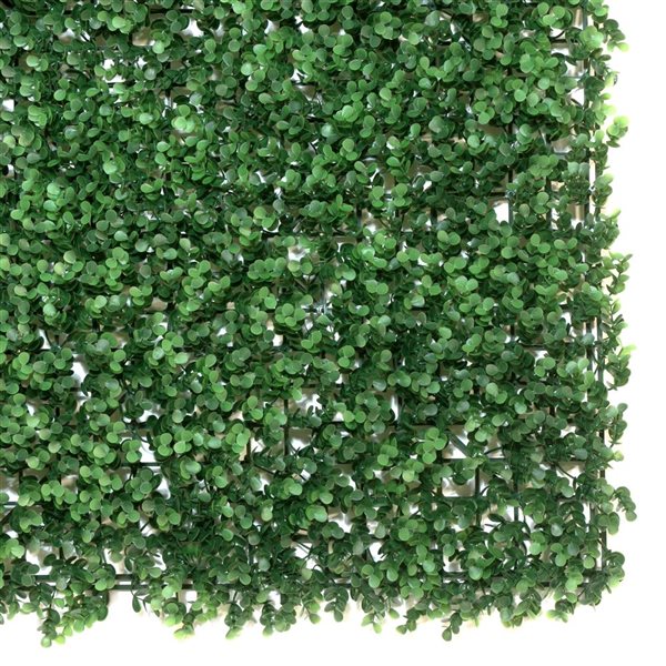 everhome English Boxwood Artificial Hedge Wall Panel - 3.28 x 3.28-ft - 1/Pack