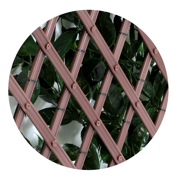 everhome Sakura Expandable Trellis - 18 x 90-in - 1/Pack