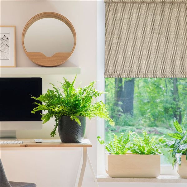 Versailles Home Fashions Marcellus 27-in x 72-in Natural Room Darkening Cordless Roman Shades