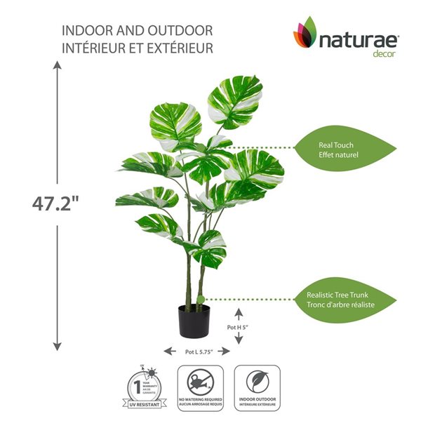 Arbre artificiel monstera vert panaché 47 po h. int./ext. par naturae decor, pot noir