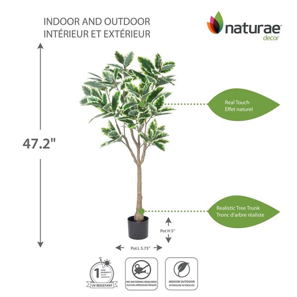 Arbre artificiel ficus vert panaché 47 po h. int./ext. par naturae decor, pot noir