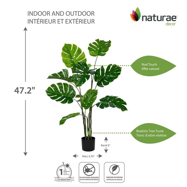 naturae decor 47-in H Indoor/Outdoor Artificial Green Monstera Tree in Black Pot