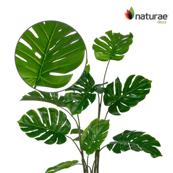 naturae decor 47-in H Indoor/Outdoor Artificial Green Monstera Tree in Black Pot