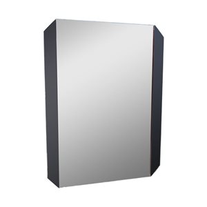 Miroir de salle de bains sans cadre Gerry de Decor Wonderland 22 l. x 27 po h. rectangulaire, argent