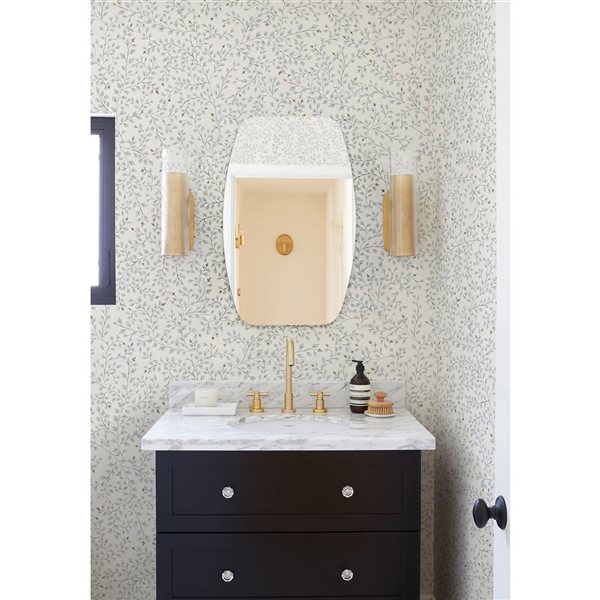 Decor Wonderland Sydney Mini 22-in Silver Rectangular Frameless Bathroom Mirror