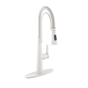 CASAINC 1-Handle Matte White Spring Neck Standard Kitchen Faucet with Dual-Function Spray Head and Deck Plate