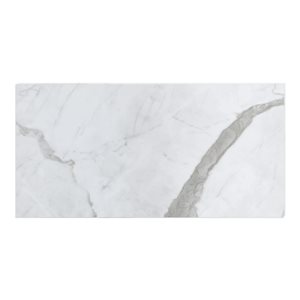 MAAX Manhattan 15.75 x 31.5-in - Glue-up Shower Wall Tiles - Smooth Marble Glacier - 5/Pack