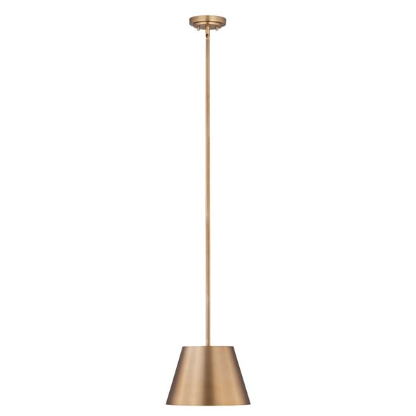 Z-Lite Lilly Modern Gold 1-Light Dome Pendant Light