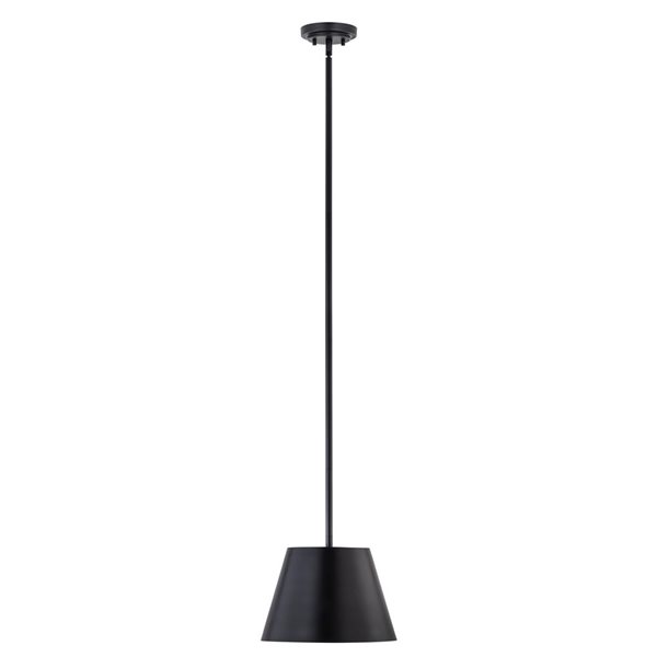 Lilly　0823 Z-Lite Lilly Matte Black 1-Light Dome Pendant Light 2307-12MB | RONA