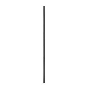 Z-Lite 120-in Black Outdoor Lighting Post