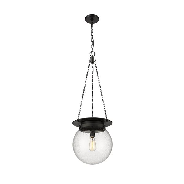 Z-Lite Calhoun Matte black 1-Light Globe Pendant Light