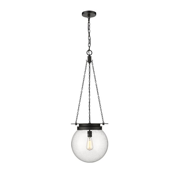 Z-Lite Calhoun Matte black 1-Light Globe Pendant Light