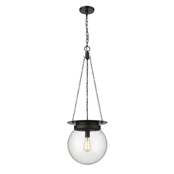 Z-Lite Calhoun Matte black 1-Light Globe Pendant Light