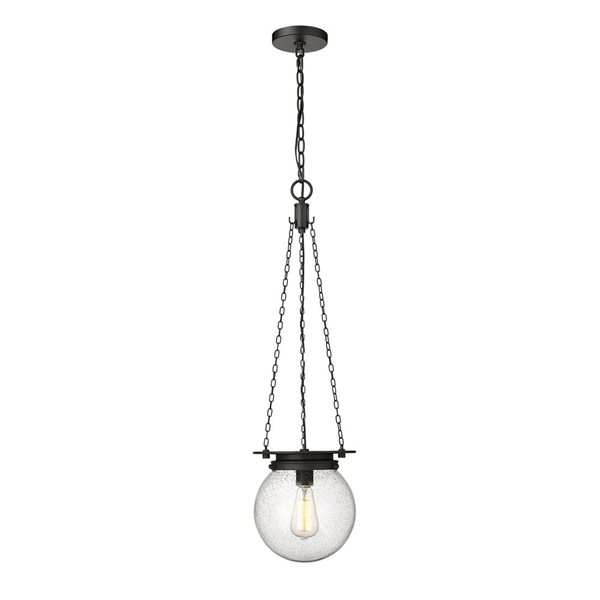 Z-Lite Calhoun Matte black 1-Light Globe Pendant Light