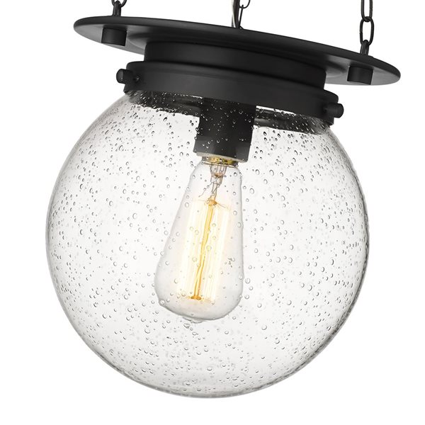 Z-Lite Calhoun Matte black 1-Light Globe Pendant Light