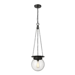 Z-Lite Calhoun Matte black 1-Light Globe Pendant Light