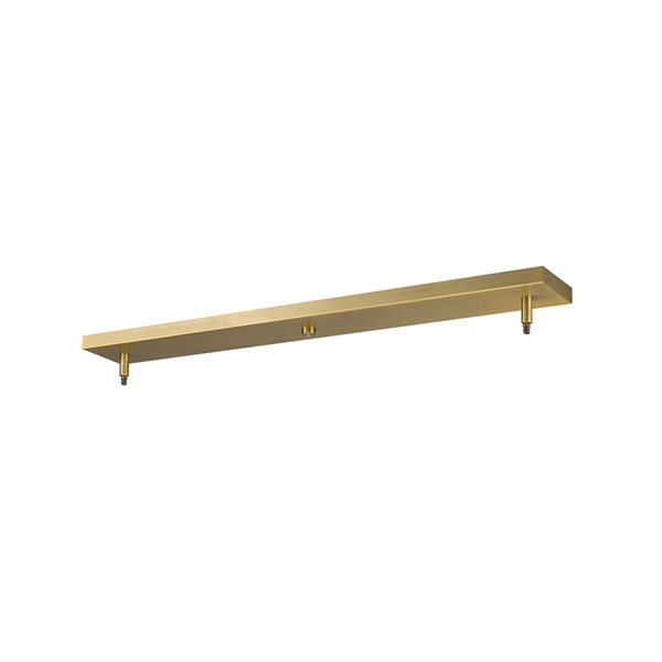 Z-Lite Multi Point Canopy 2 Light Ceiling Plate - Gold