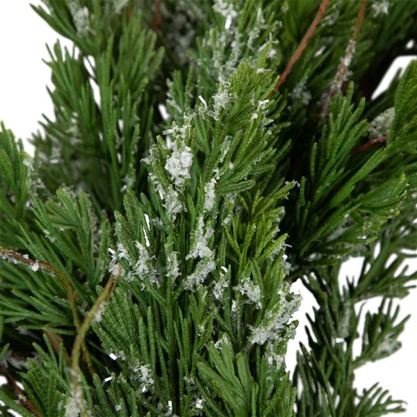 Iced Cedar Artificial Christmas Wreath - 24-in - Unlit