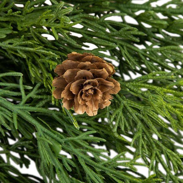 24-in Soft Green Cedar Artificial Christmas Wreath with Pine Cones - Unlit