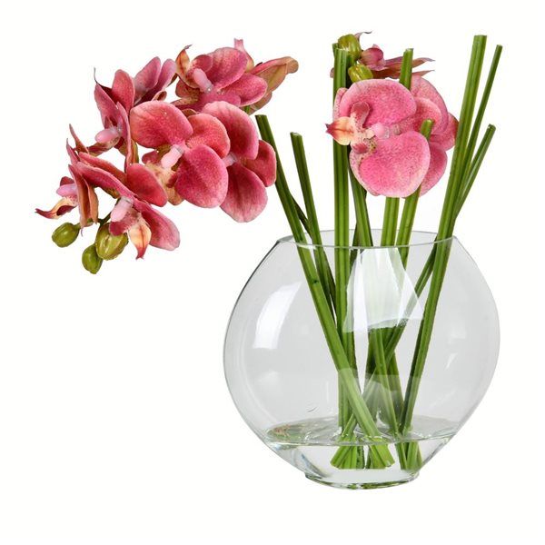 Vickerman 9.8-in Artificial Pink Butterfly Orchid In Glass Pot