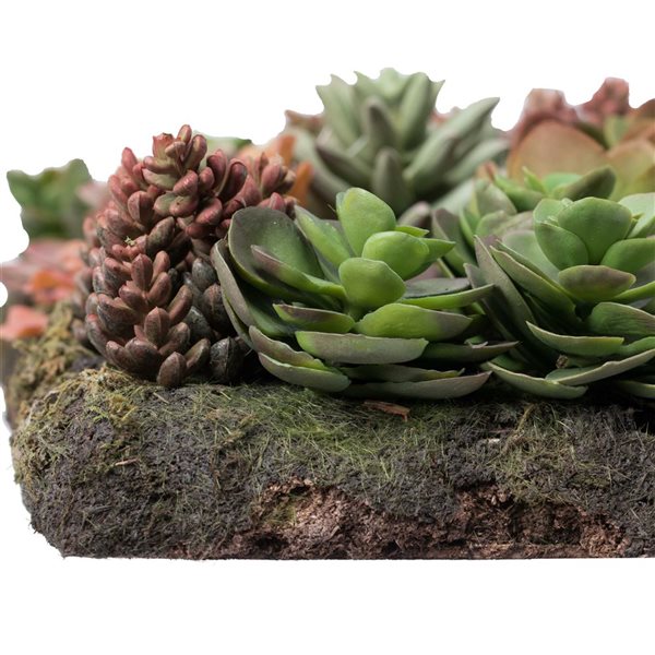 Vickerman 16.5-in Artificial Multi-Colored Succulent Wall Arrangement