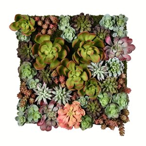 Vickerman 16.5-in Artificial Multi-Colored Succulent Wall Arrangement