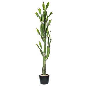 Vickerman 80-in Artificial Green Cactus, Black Plastic Planters Pot