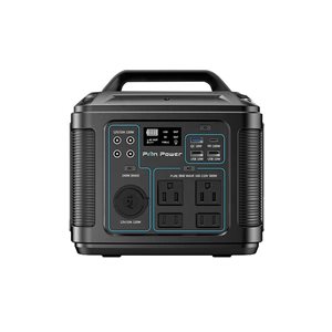 Station d'alimentation portative P302 de Pion Power 300 Watts