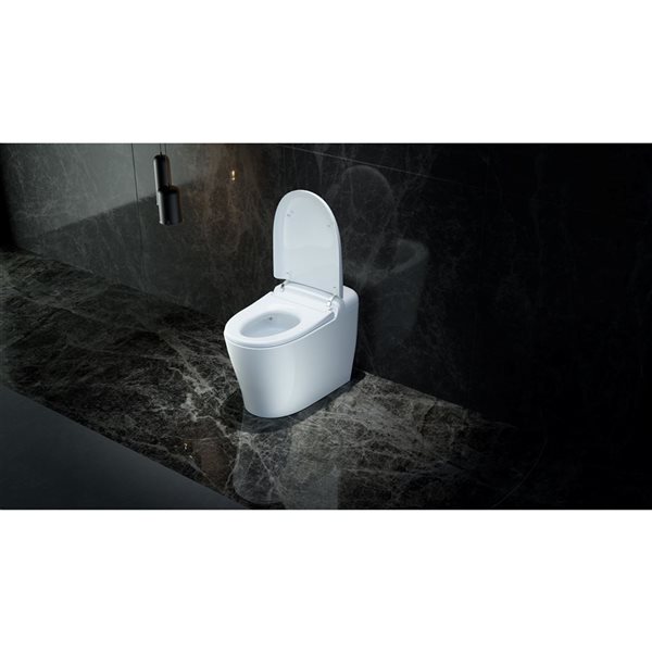 ECOWAY Deluxe 1-Piece 1.28 GPF Single Flush Elongated Standard Tankless Smart Bidet Toilet - White