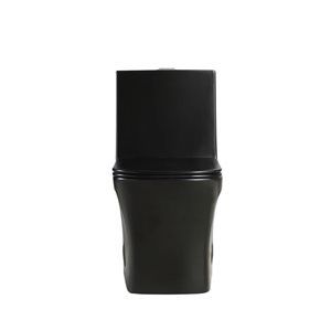 Toilette monopièce Barcelona avec chasse d'eau à jet siphonique tout-en-un, 4 L/6 LPF à double chasse, noir