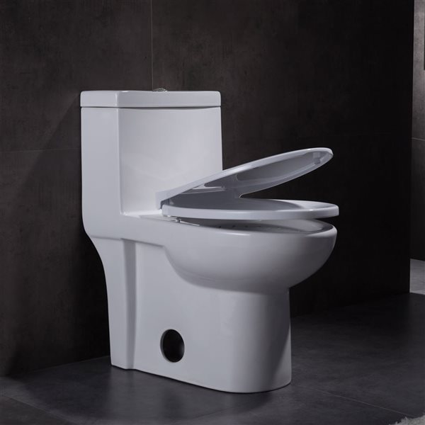 One Piece Toilet Hilton in White - Dual Flush - 4/6Lpf 1.1/1.6 Gpf