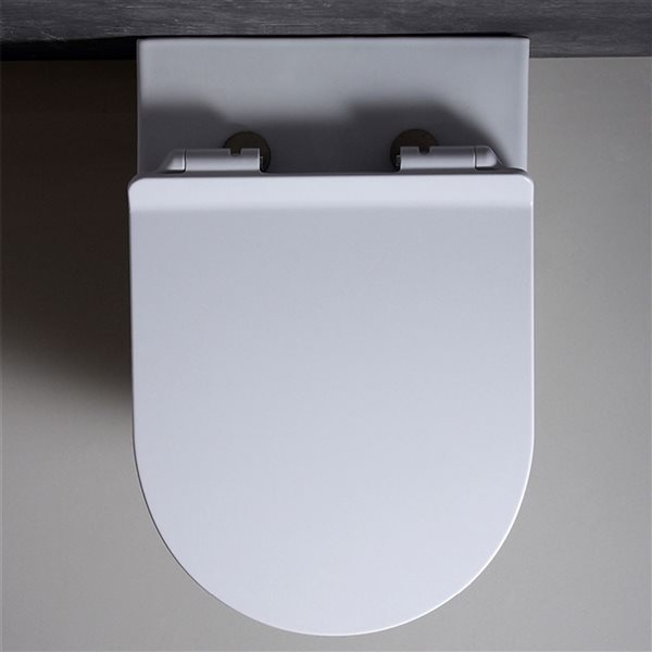 Wall-Hung Toilet Valencia with White Button Plate Set - Dual Flush - White