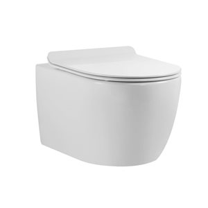 Wall-Hung Toilet Valencia with White Button Plate Set - Dual Flush - White