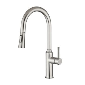 Rainlex Brushed Nickel Single Handle Pull Down Kitchen Sink Faucet With Supply Lines