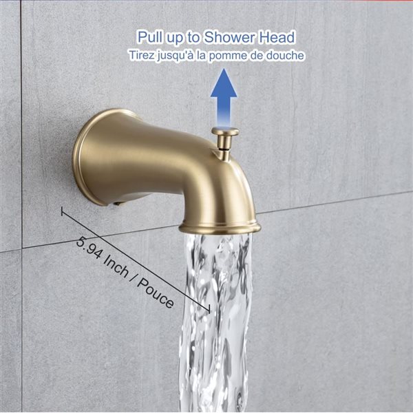 Rainlex 6-in Brushed Gold Simple Single-Handle 6-Spray Shower Faucet with Tub