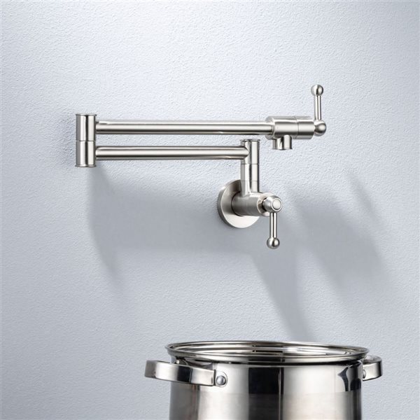 Rainlex Brushed Nickel 2-Handle Kitchen Faucet Pot Filler with Accessories