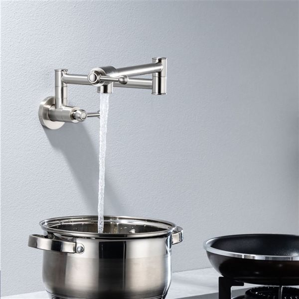 Rainlex Brushed Nickel 2-Handle Kitchen Faucet Pot Filler with Accessories