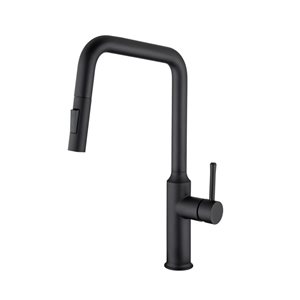 Rainlex Matte Black Single Handle Pull Down Sprayer Kitchen Sink Faucet With Supply Lines