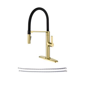 Rainlex Brushed Gold 1-Handle Magnetic Pull Out Touch Kitchen Faucet