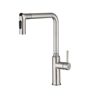 Rainlex Brushed Nickel Single Handle Pull-Down Sprayer Kitchen Faucet