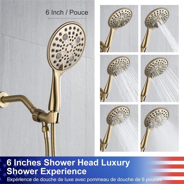 Rainlex 6-in Brushed Gold Simple Single-Handle 6-Spray Shower Faucet with Handheld