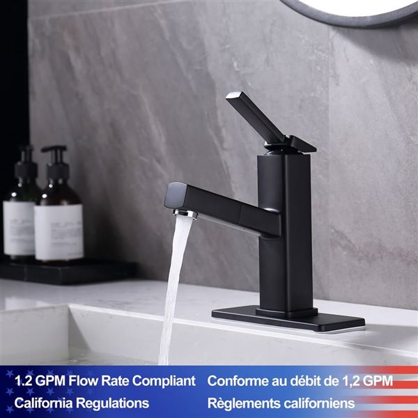 Rainlex 1-Handle Matte Black Multifunctional Single Hole Bathroom Faucet