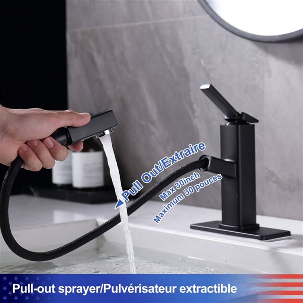 Rainlex 1-Handle Matte Black Multifunctional Single Hole Bathroom Faucet