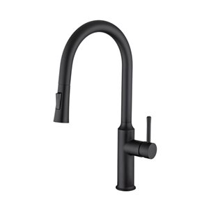 Rainlex Matte Black Single Handle Pull Down Kitchen Sink Faucet With Supply Lines