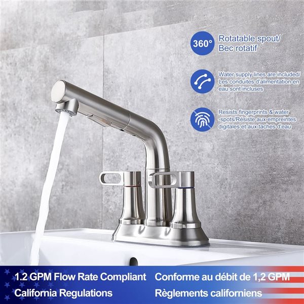 Rainlex 2-Handle Brushed Nickel Pull Out Centerset Bathroom Faucet