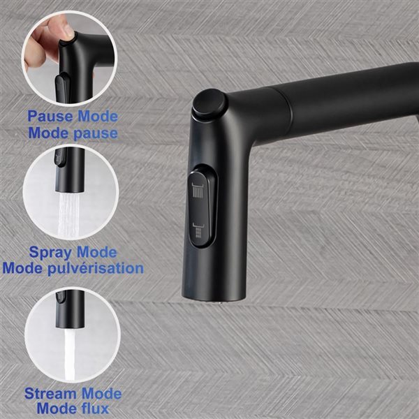 Rainlex Matte Black Single Handle Pull-Down Sprayer Kitchen Faucet