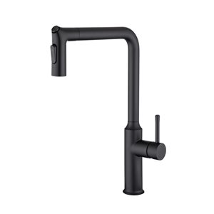 Rainlex Matte Black Single Handle Pull-Down Sprayer Kitchen Faucet