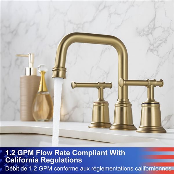 Rainlex Widespread Faucet 8-in 2-Handle Bathroom Faucet with Brushed Gold Drain Assembly